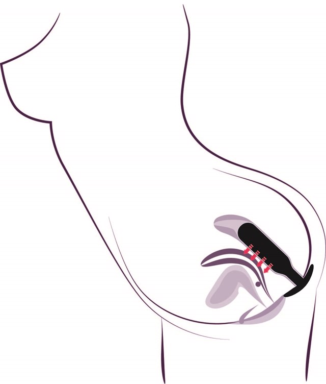 Black Velvets Anal Trainer - Medium