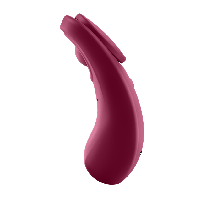 Sexy Secret Panty Vibrator & sovellus