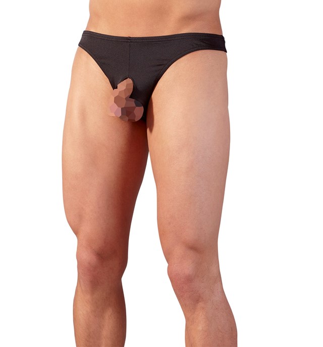 Showmaster Stringit