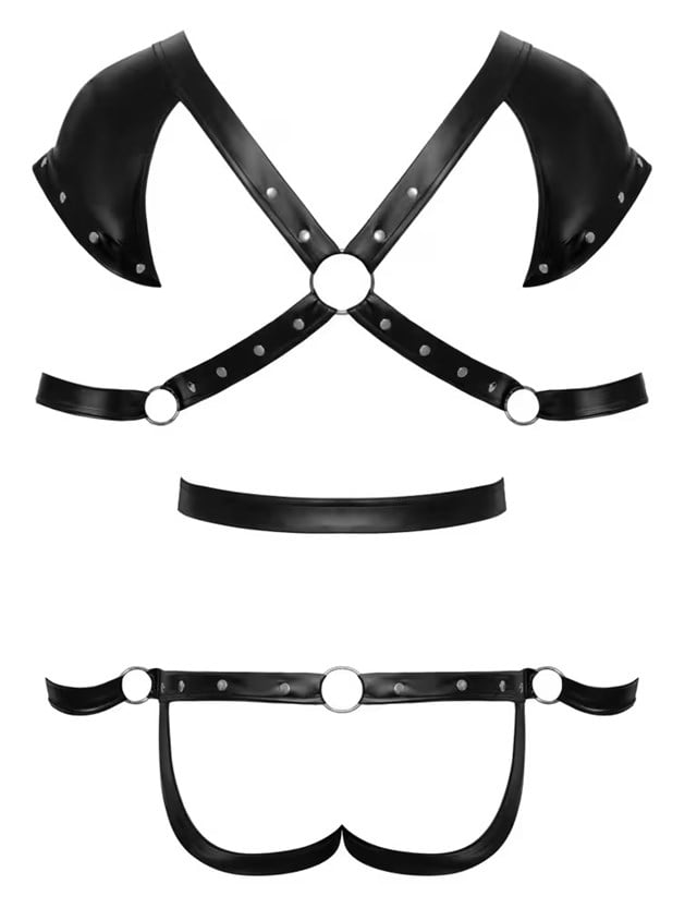 Body with 4 restraints in a set