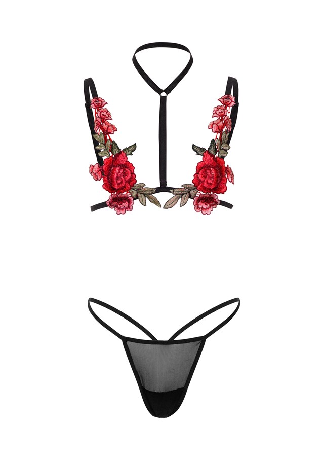Roses Bra and Panty Set
