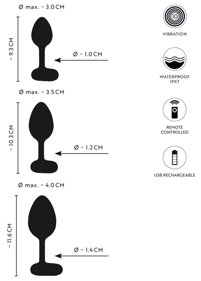 RC Butt Plug Set with Vibration