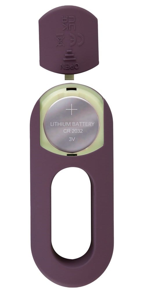 ARIVA RC Panty Vibrator