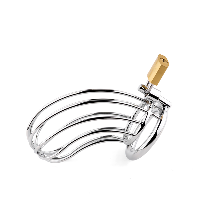 B-Series Metal Penis Cock Cage