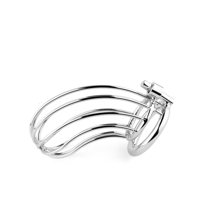 B-Series Metal Penis Cock Cage