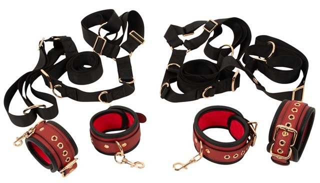 Bed/Door Restraint Set
