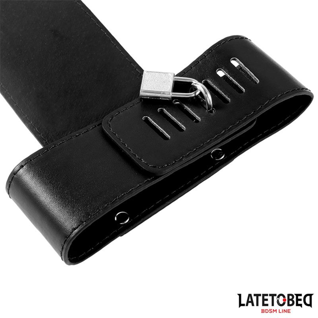 Behind Back Adjustable Harness