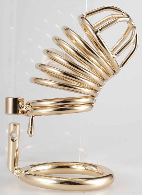 Golden Bird Chastity Cage