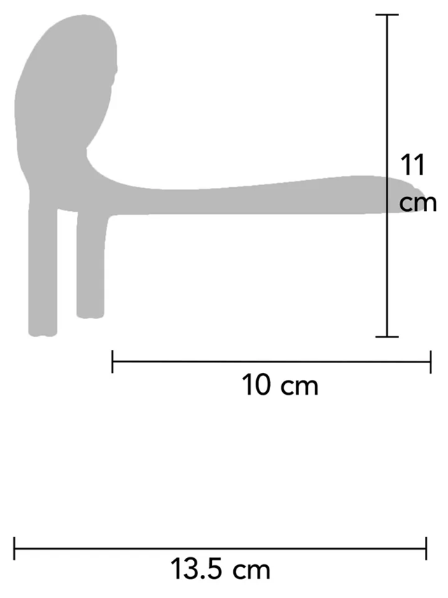 Couples Slimline Vibrator Ring