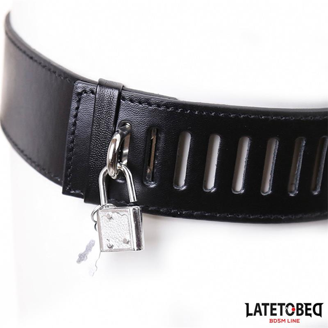 Female Chastity Belt