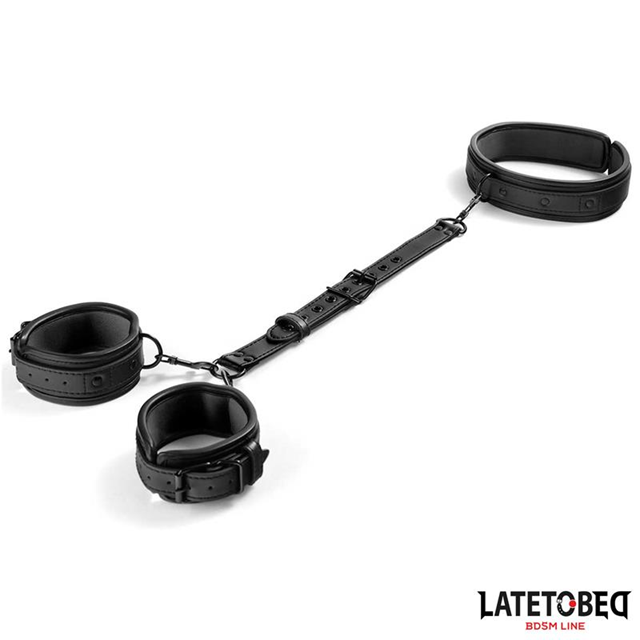 Neck & Wrist Restraints