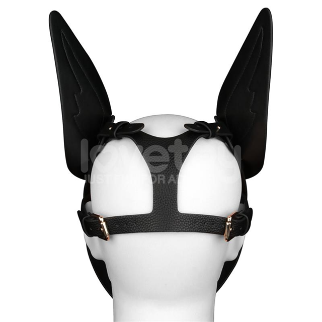 Rebellion Reign Scarred Alpha Pup Mask Blue