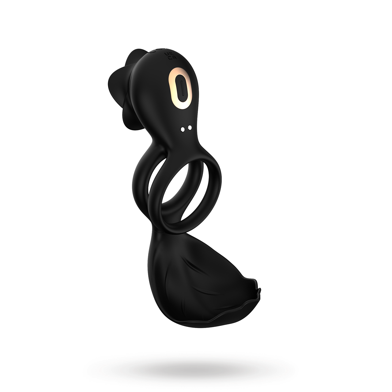 Sustainable Pleasure