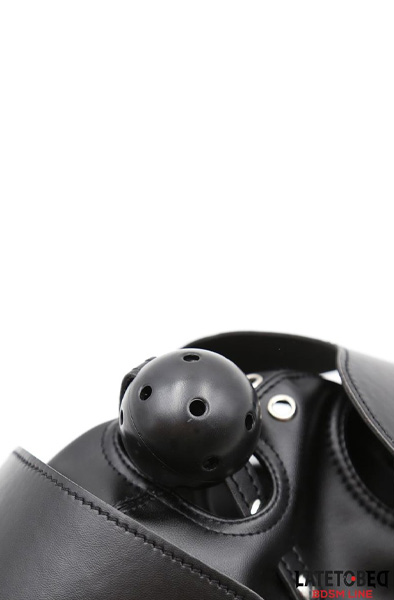 Slave Hood With Eye Mask & Breathable Gag Ball