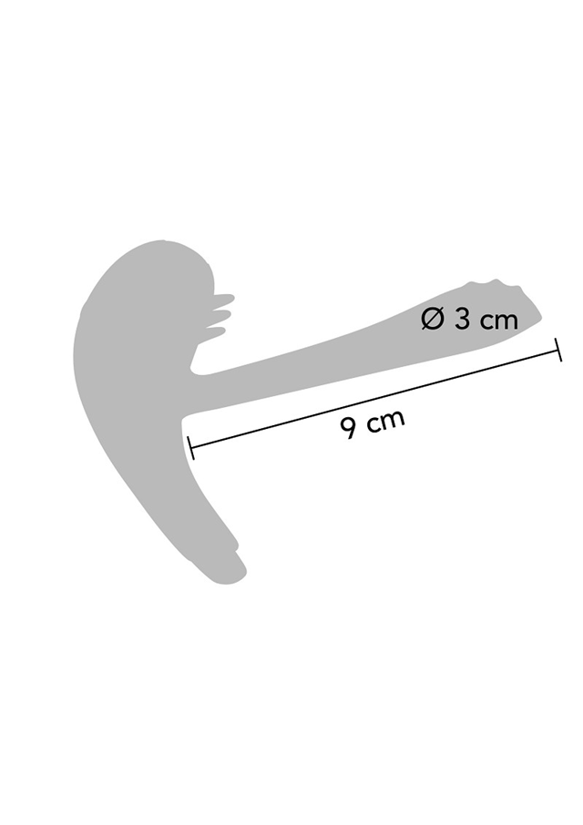 Passionate Joy Stick C-Ring Remote