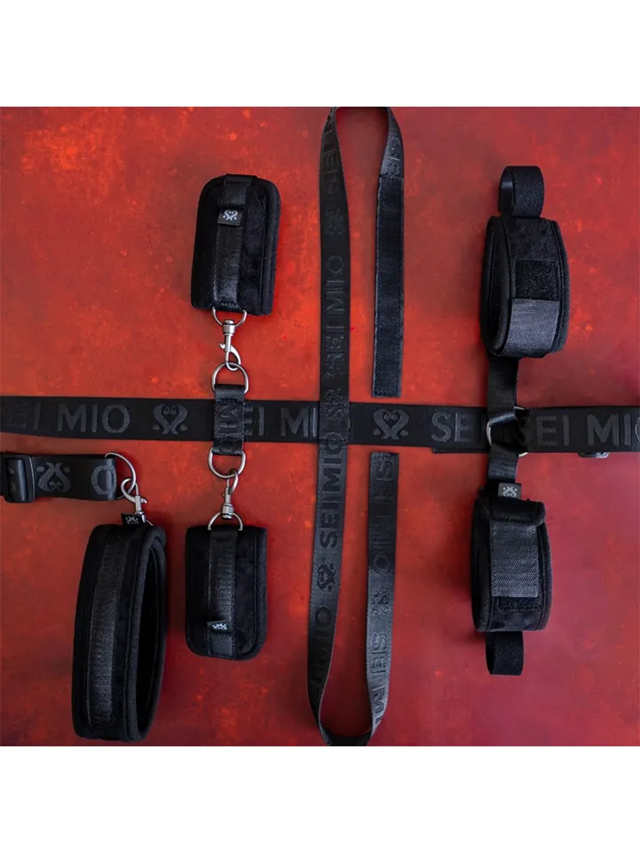 Unique Under Chair Restraint System