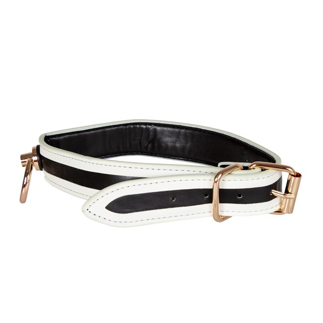 Glow-in-the-Dark Collar with Leash - White/Black/Gold