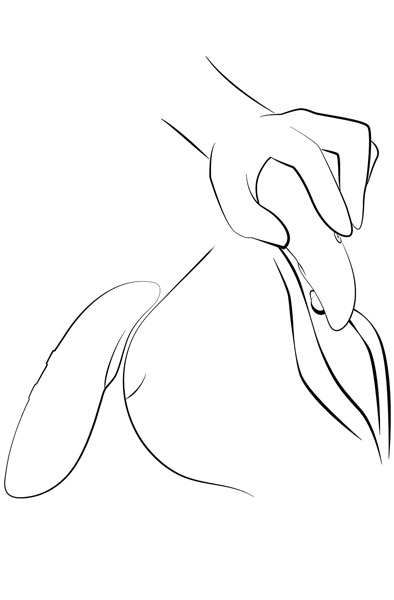 We-Vibe Touch X Crave Coral