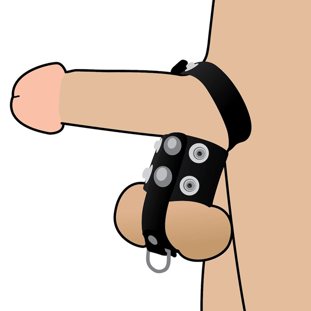 Wild Play Cock & Ball Strap
